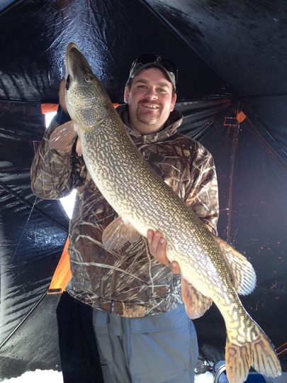 Northern Pike