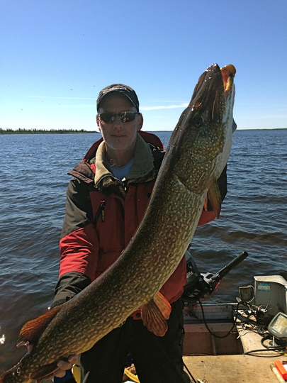 Northern Pike