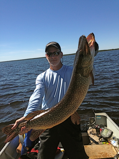 Northern Pike