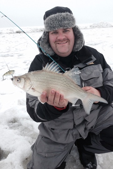 White Bass