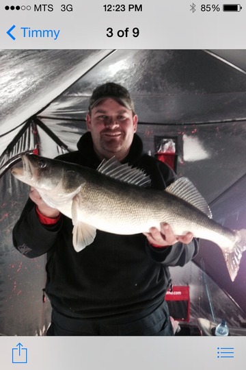 Walleye