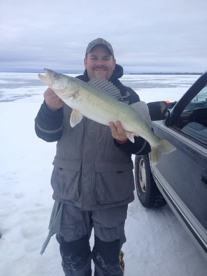 Walleye