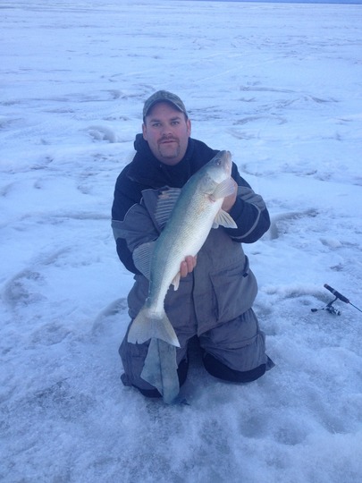 Walleye