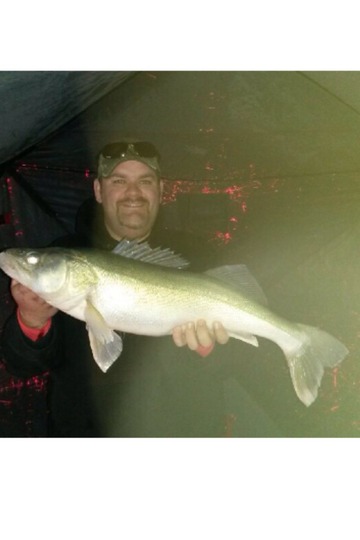 Walleye