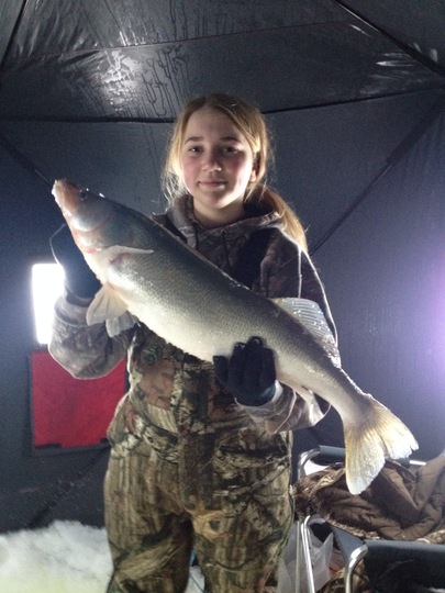 Walleye