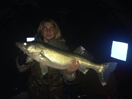 Walleye