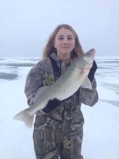 Walleye