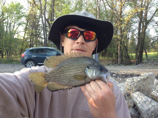 Rock Bass