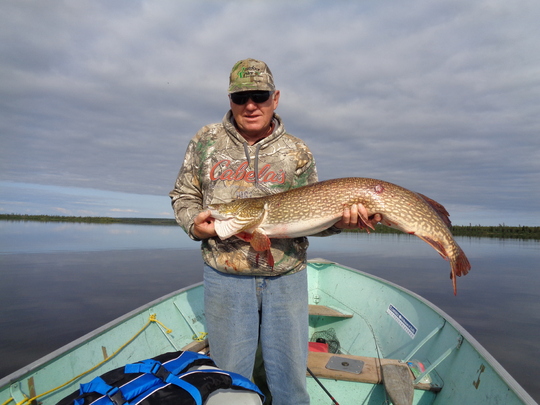 Northern Pike