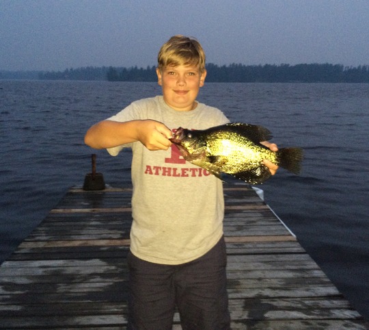 Black Crappie