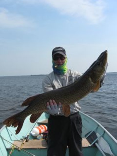 Northern Pike