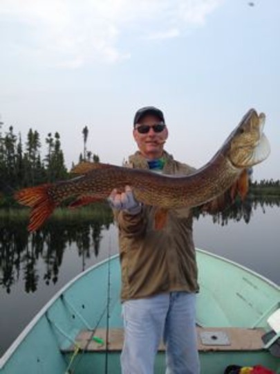 Northern Pike