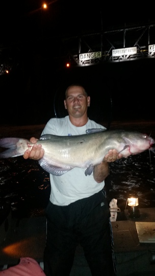 Channel Catfish