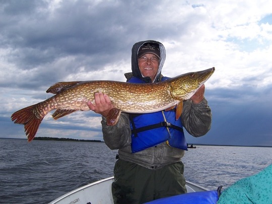 Northern Pike