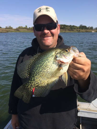 Black Crappie