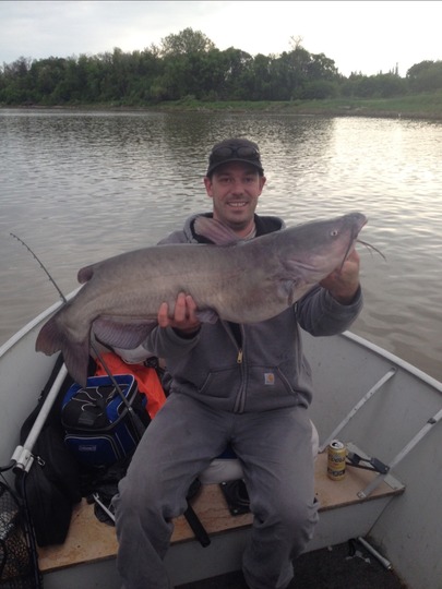 Channel Catfish