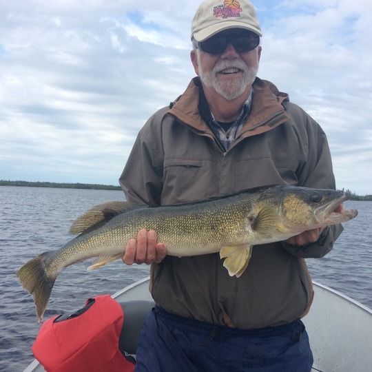 Walleye