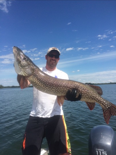Northern Pike