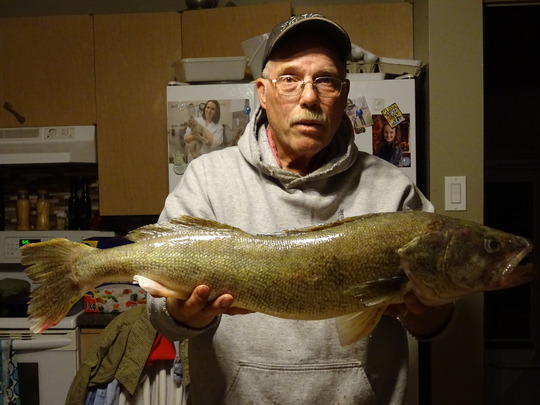 Walleye