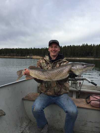Northern Pike