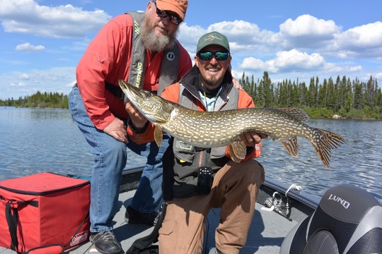 Northern Pike