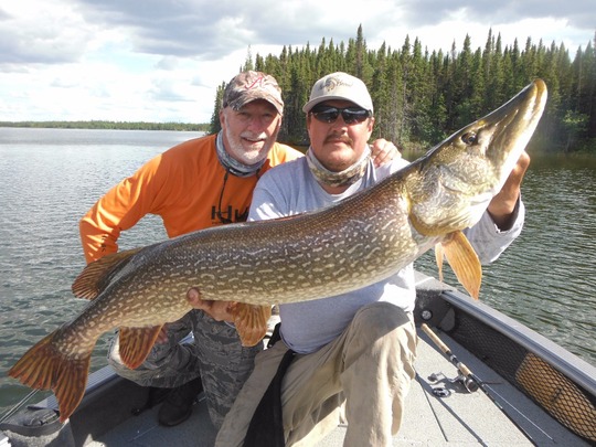 Northern Pike