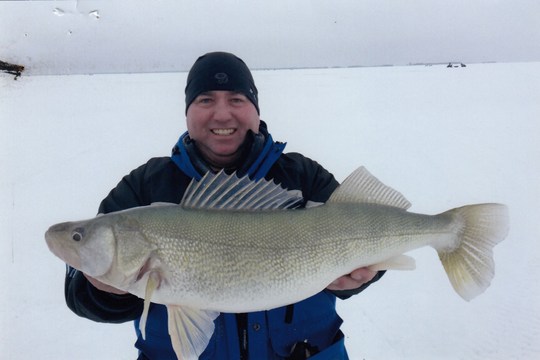 Walleye