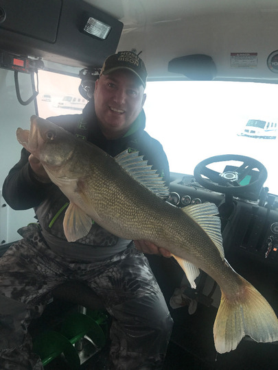 Walleye