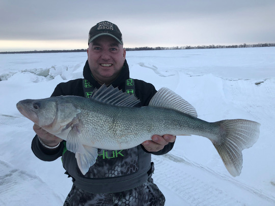 Walleye