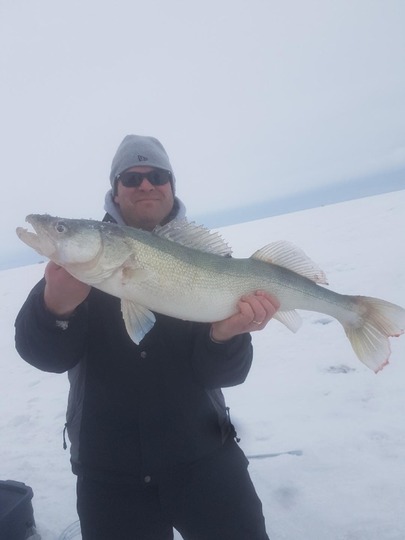 Walleye