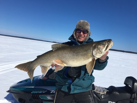 Lake Trout