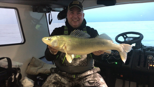 Walleye