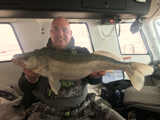Walleye