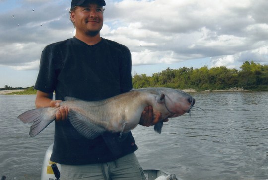 Channel Catfish