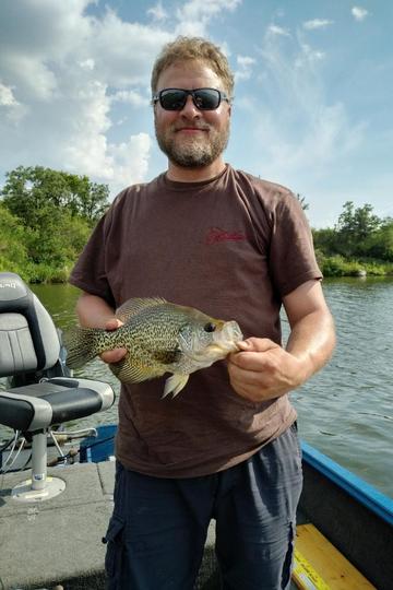 Black Crappie