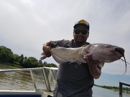 Channel Catfish
