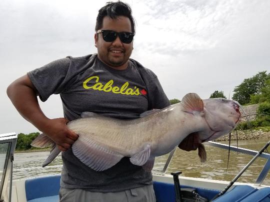 Channel Catfish
