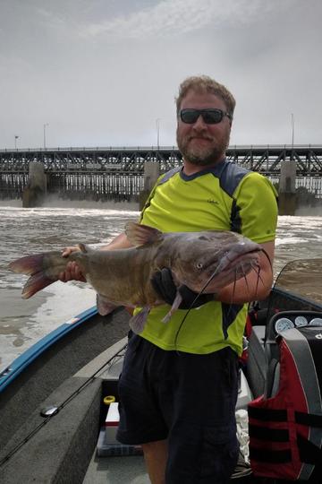 Channel Catfish