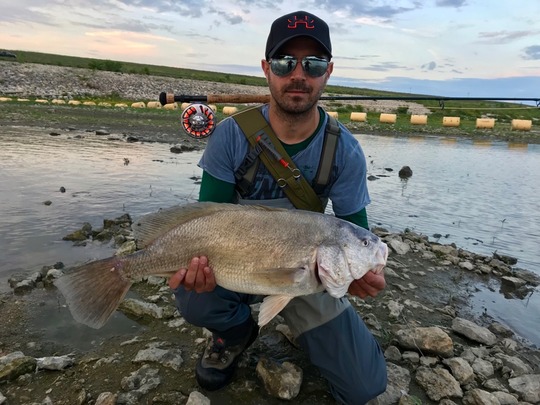 Freshwater Drum