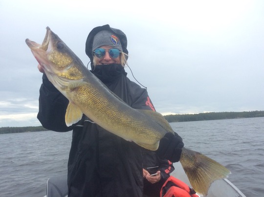 Walleye