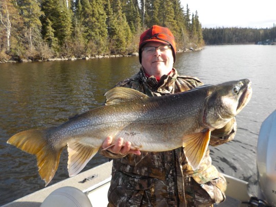 Lake Trout