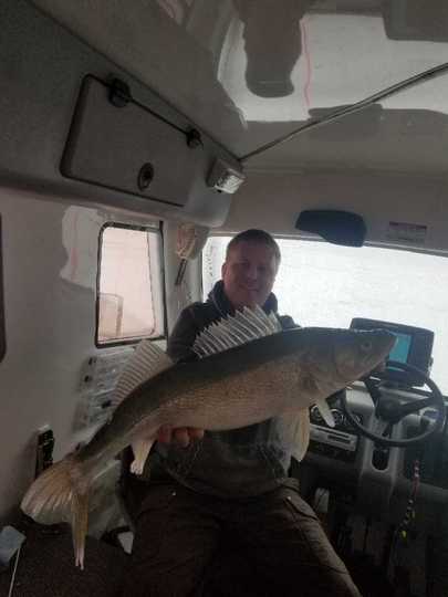 Walleye