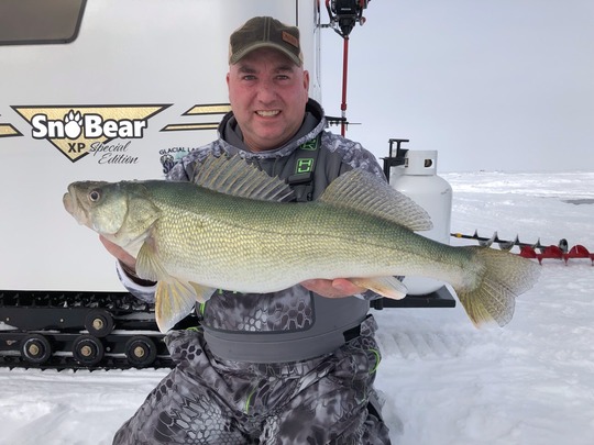 Walleye