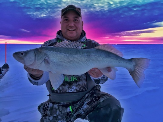 Walleye