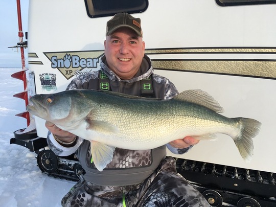 Walleye
