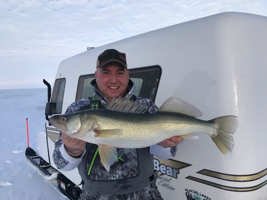 Walleye