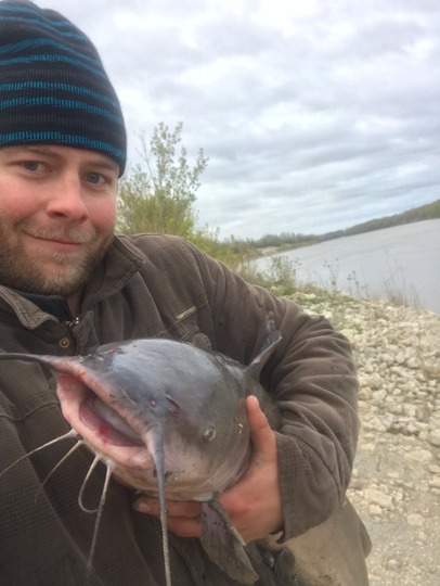 Channel Catfish