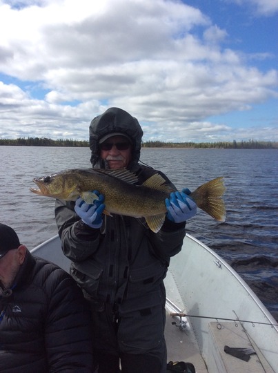 Walleye