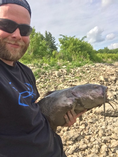 Channel Catfish