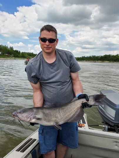 Channel Catfish